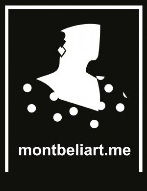Montbeliart projet rhizome du Master 1 Produits et Services Multimédia